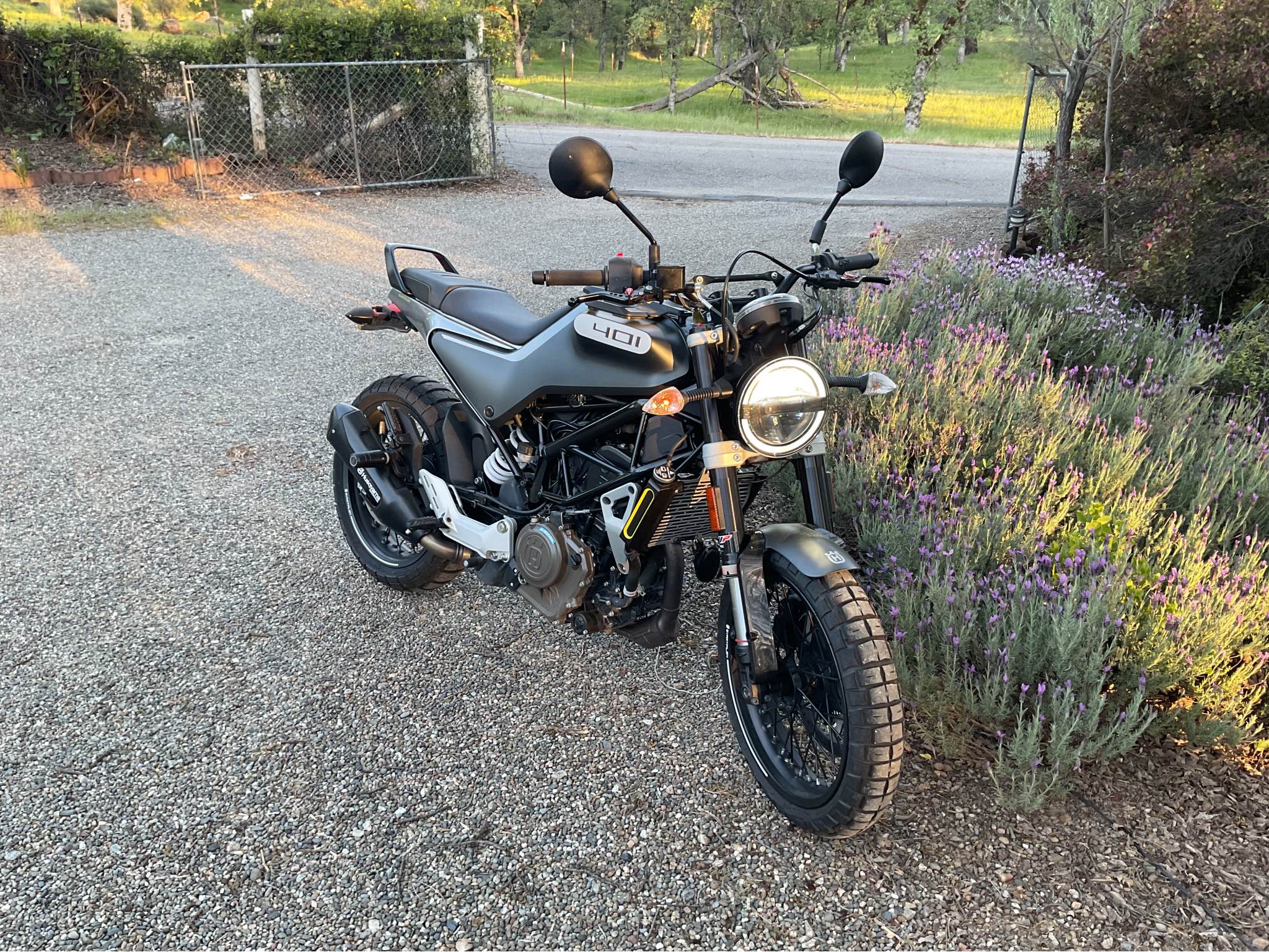 2020 Husqvarna Svartpilen 401 - Motorcycles & Scooters - Redding ...