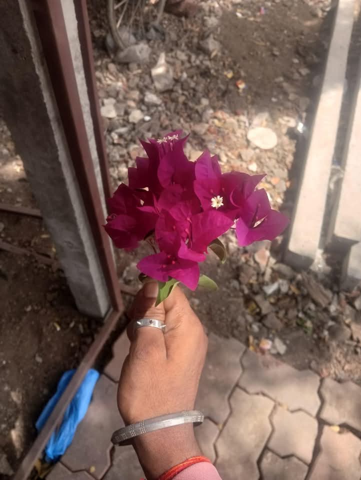 Vinod Kumar