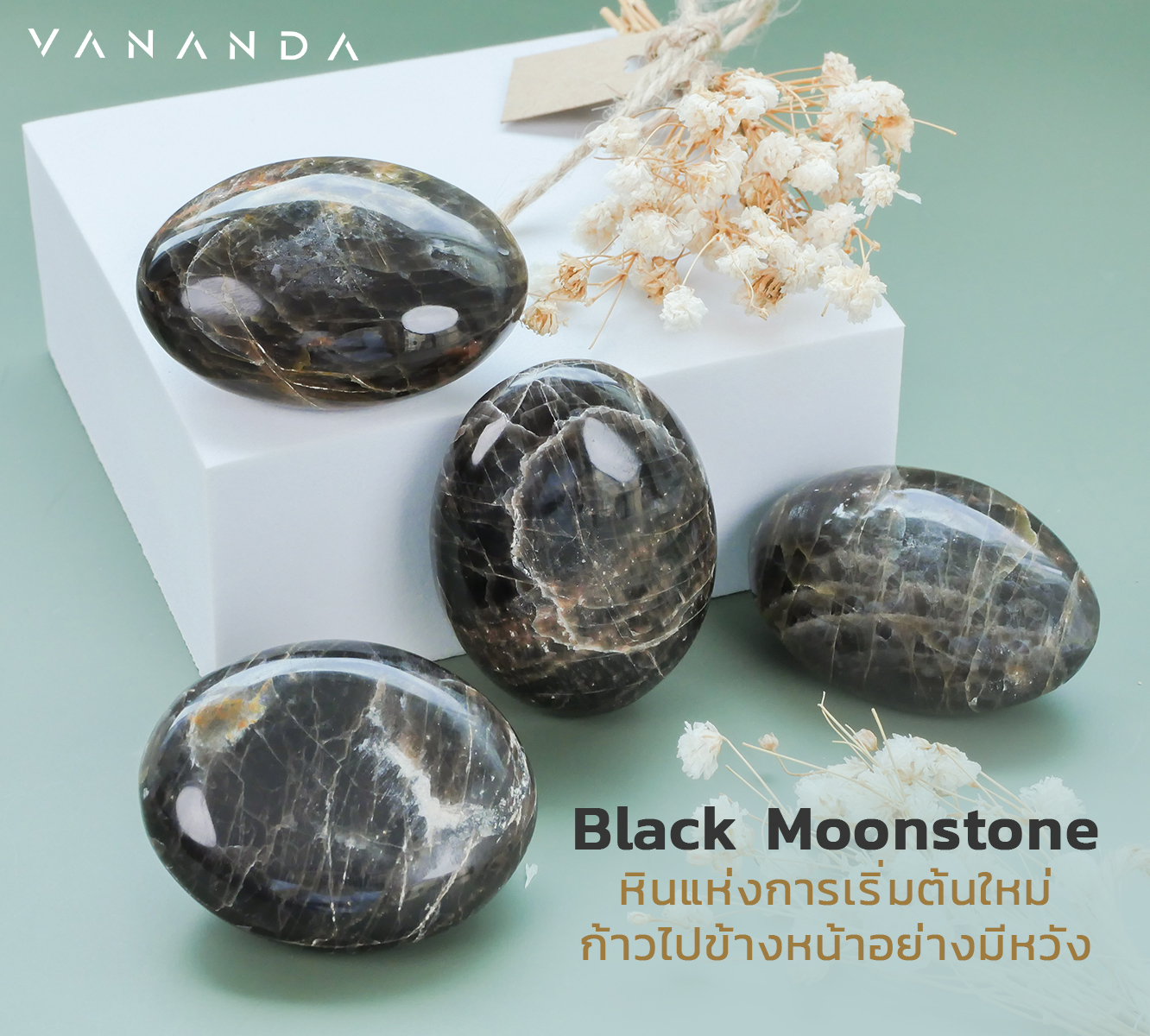Vananda - Black Moonstone หินแห่งการเริ่มต้น... | Facebook