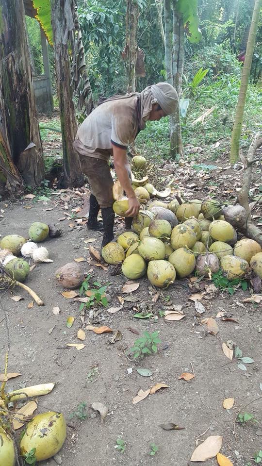 Batga pag kamiy garniy... - Kapeng Barako at Isdang Tulingan | Facebook