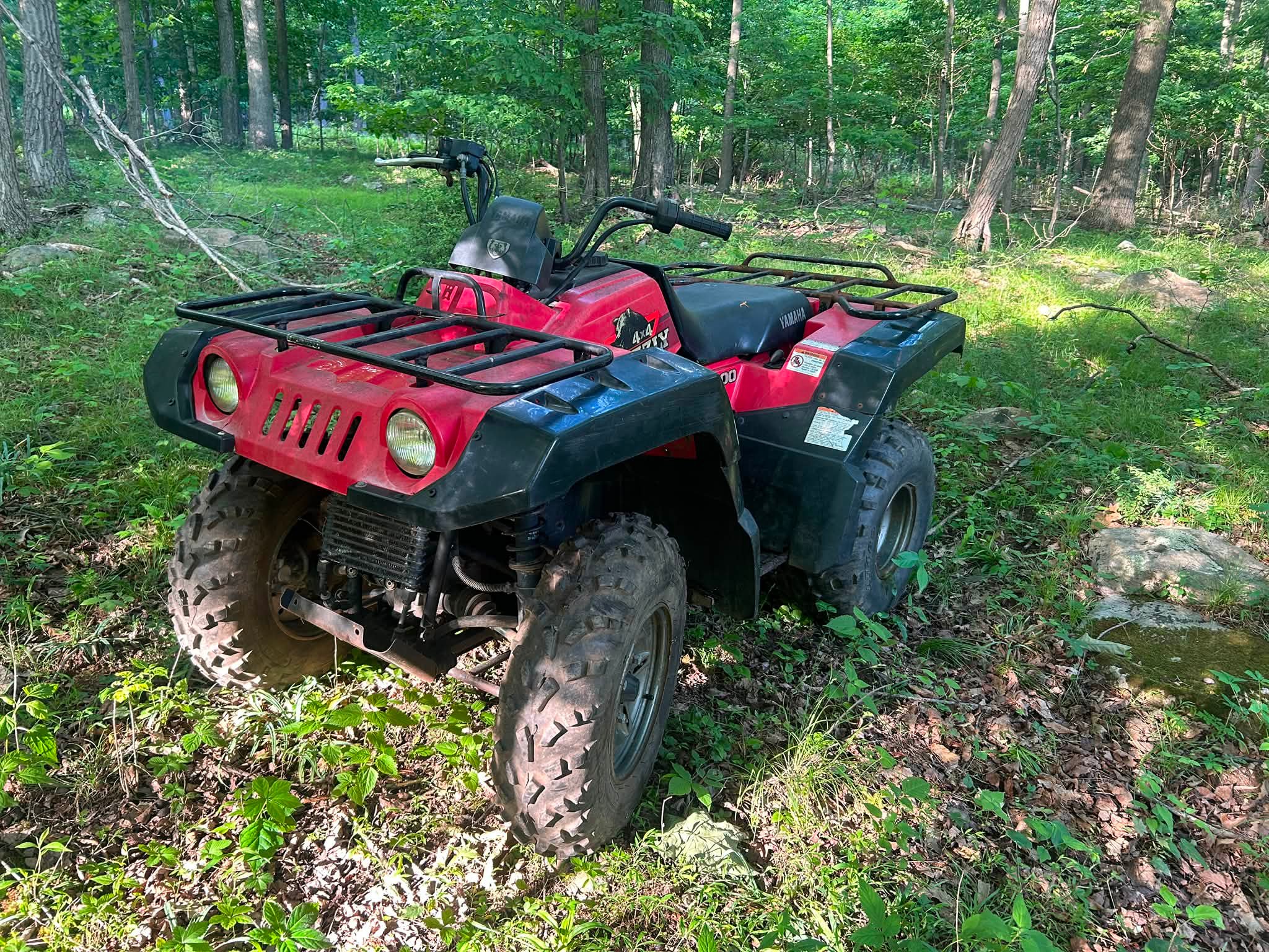 Ok I disassembled my 1999 Yamaha grizzly 600 all parts OEM all