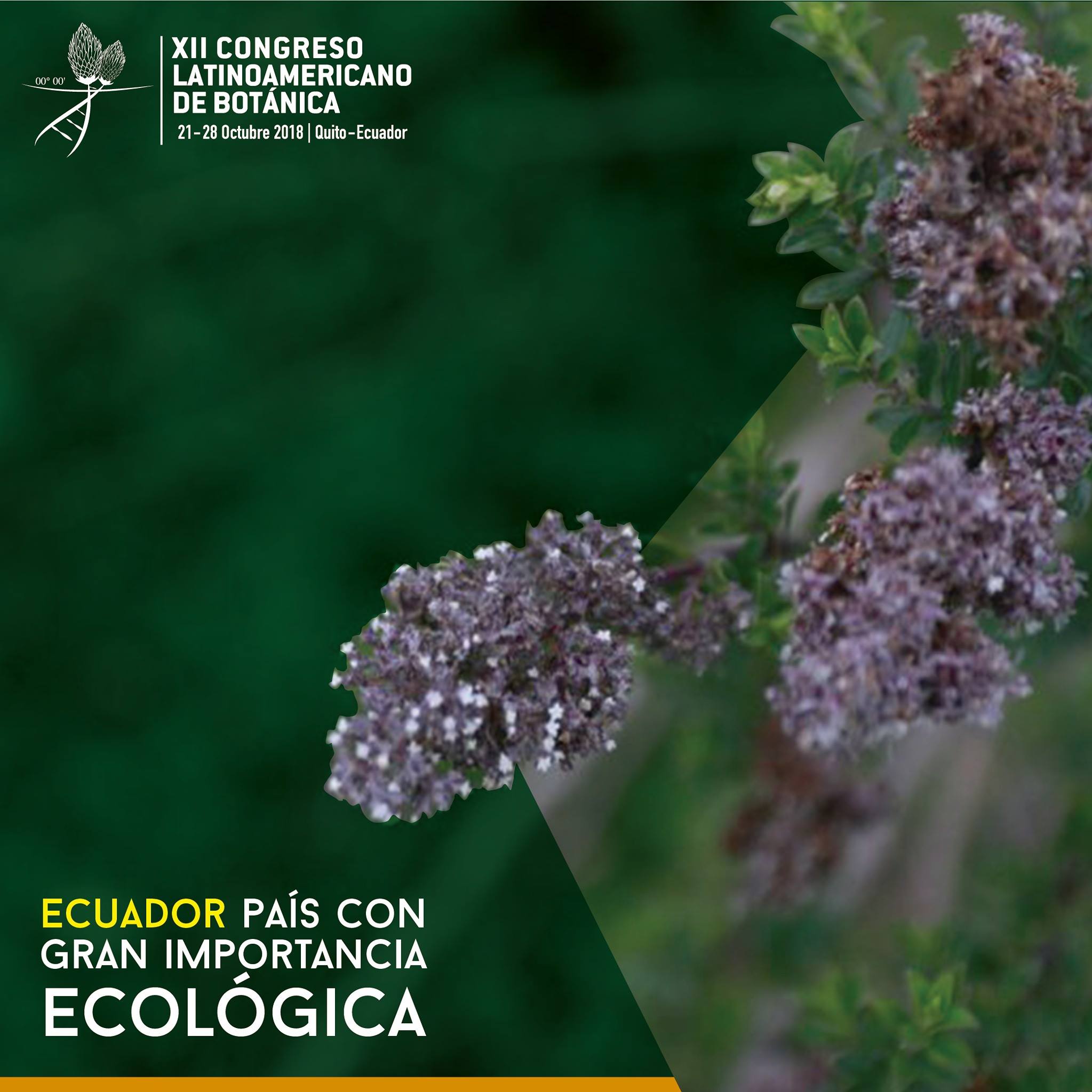 La diversidad botánica en el... - Botánica Neotropical