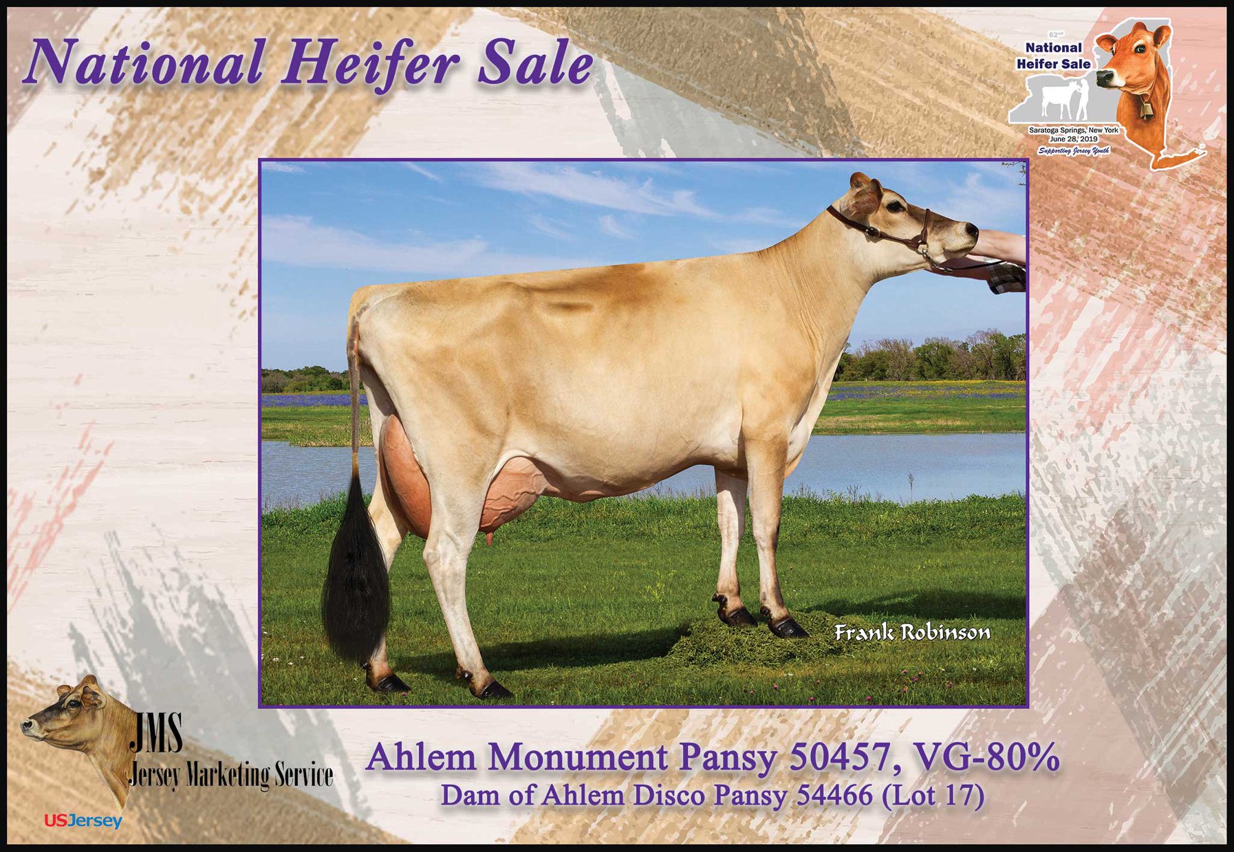 The #7 GJPI and #1 DISCO heifer... - Jersey Marketing Service