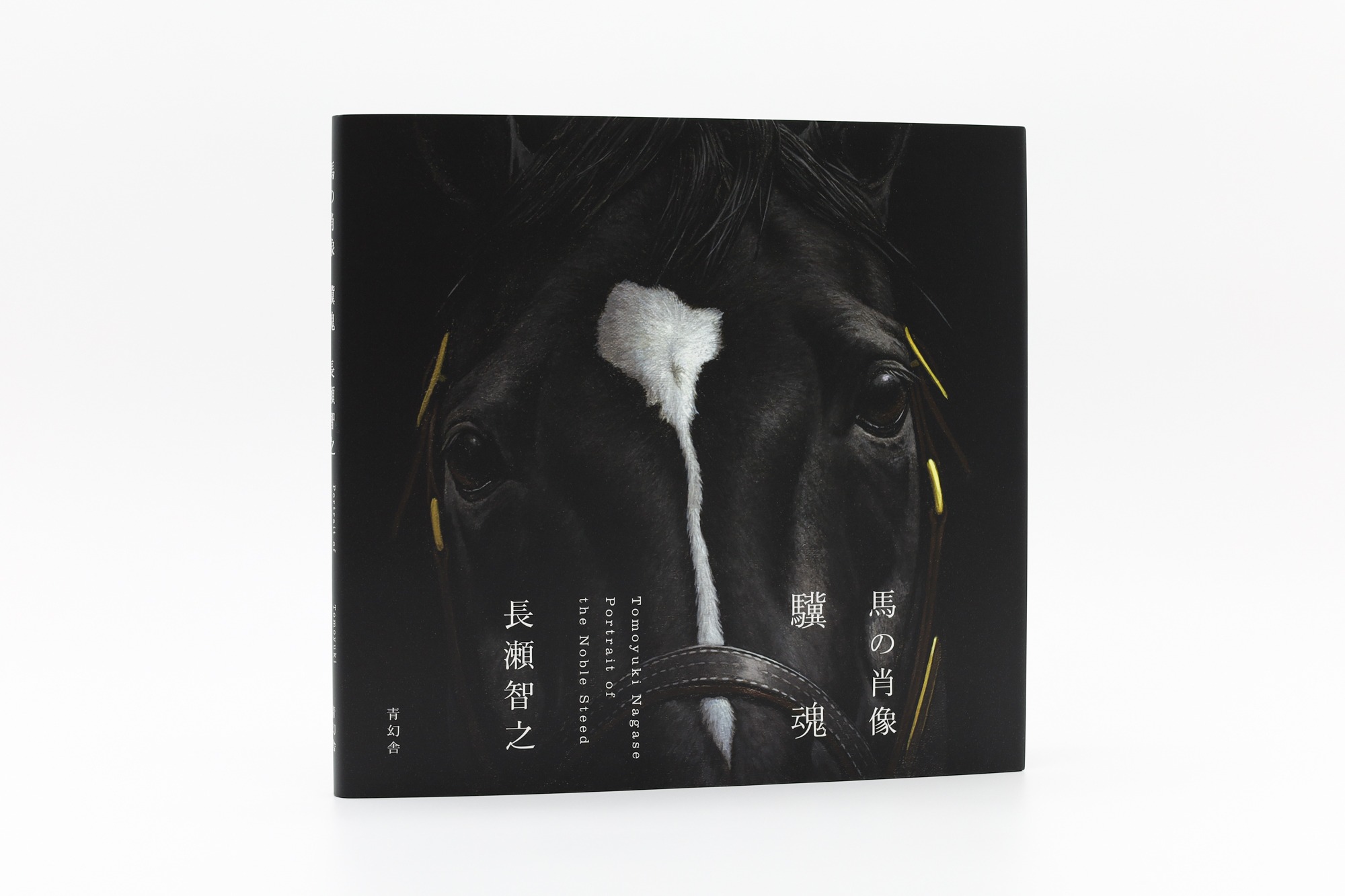 青幻舎 - 【今晩開催】 桑島智輝／安達祐実 写真集「我我」 重版記念