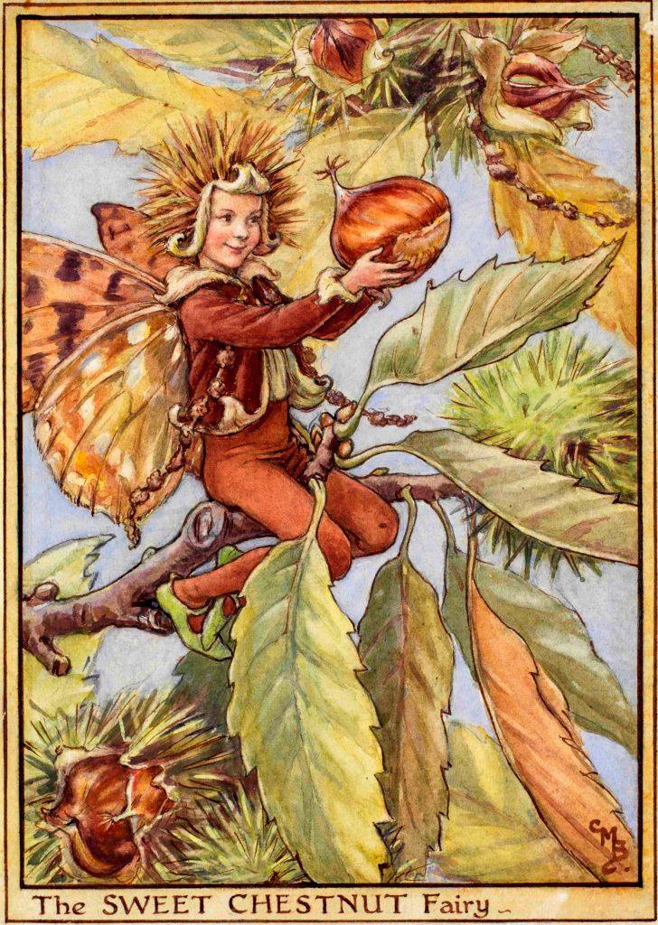 tis the season Horse Chestnut Fairy Artist - Cicely Mary Barker