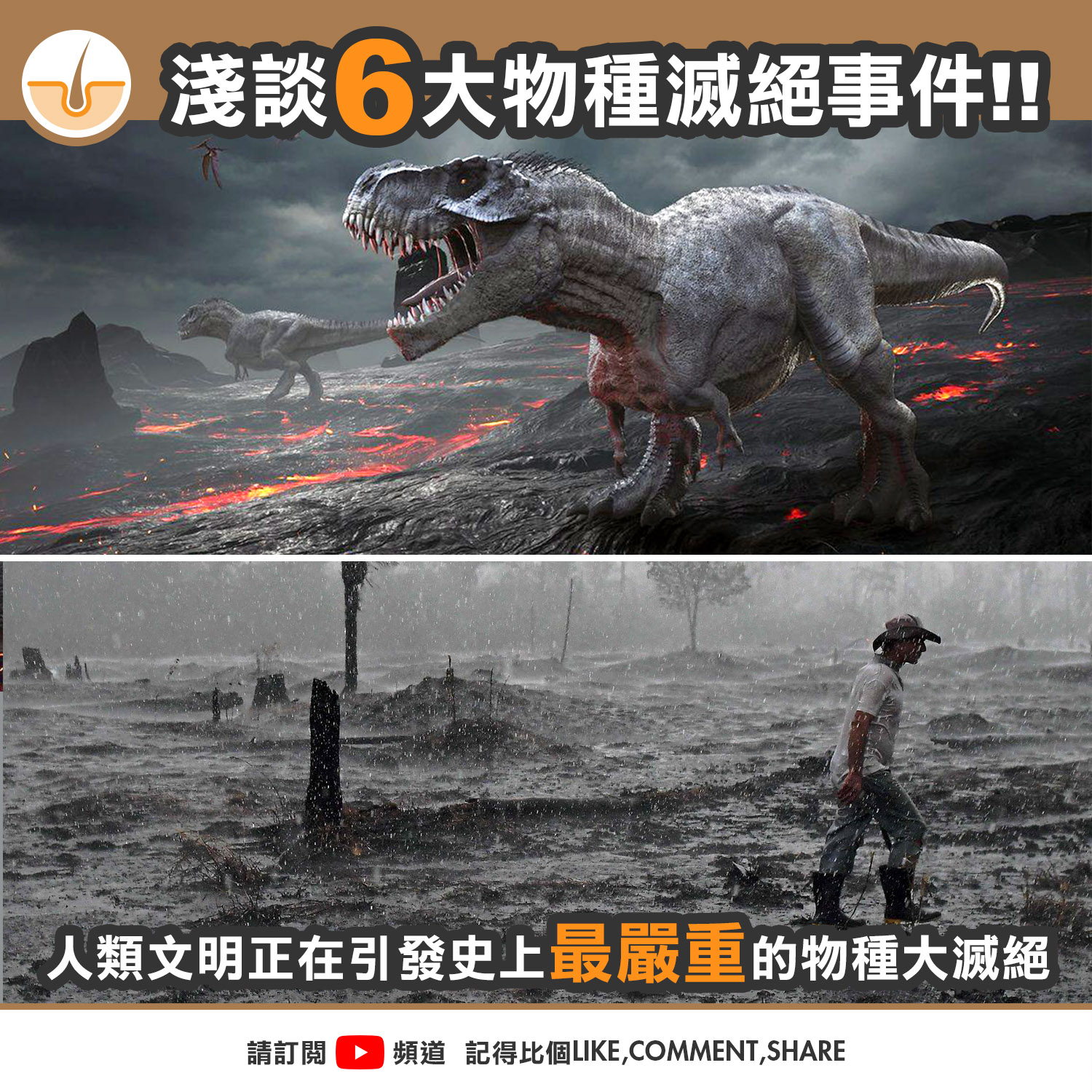 皮毛小知識 - 物種滅絕在地球上其實稀鬆平常不過，在生物大規模繁顯之後就經歷過超過30次大大小小的物種滅絕事件。被歸類...