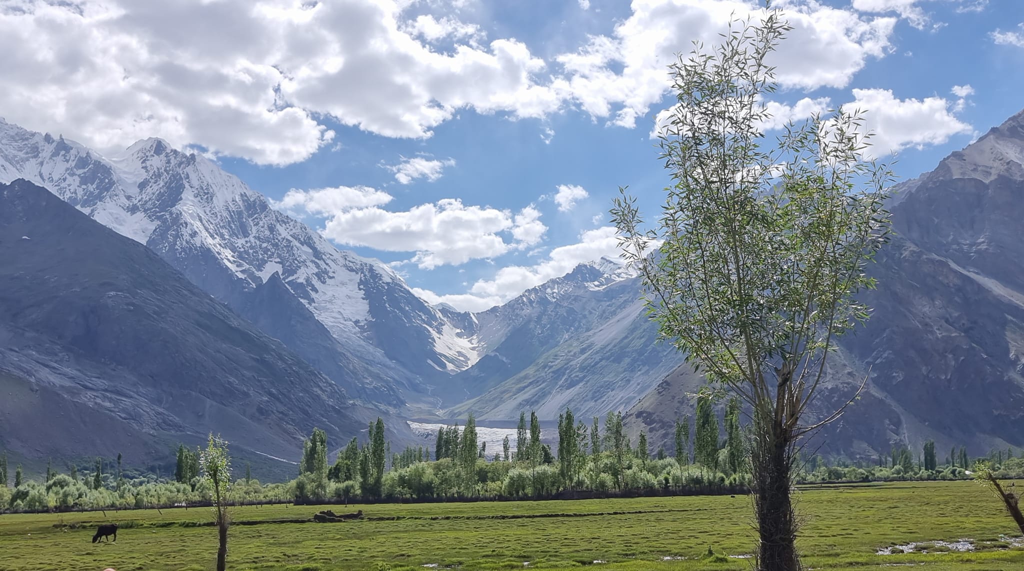 Local Government and Rural Development Department, Gilgit-Baltistan ...