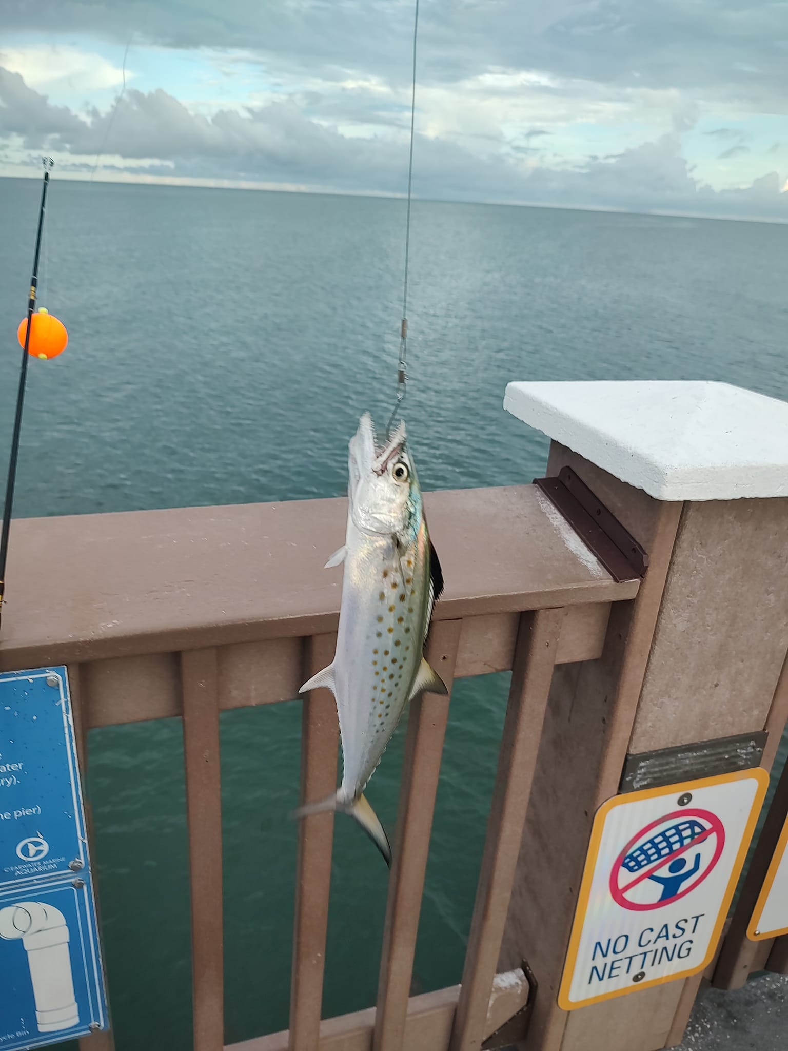 best pier fishing pole for spanish mackerel Jigging Rod Rockers Surf Fishing Best Rod And