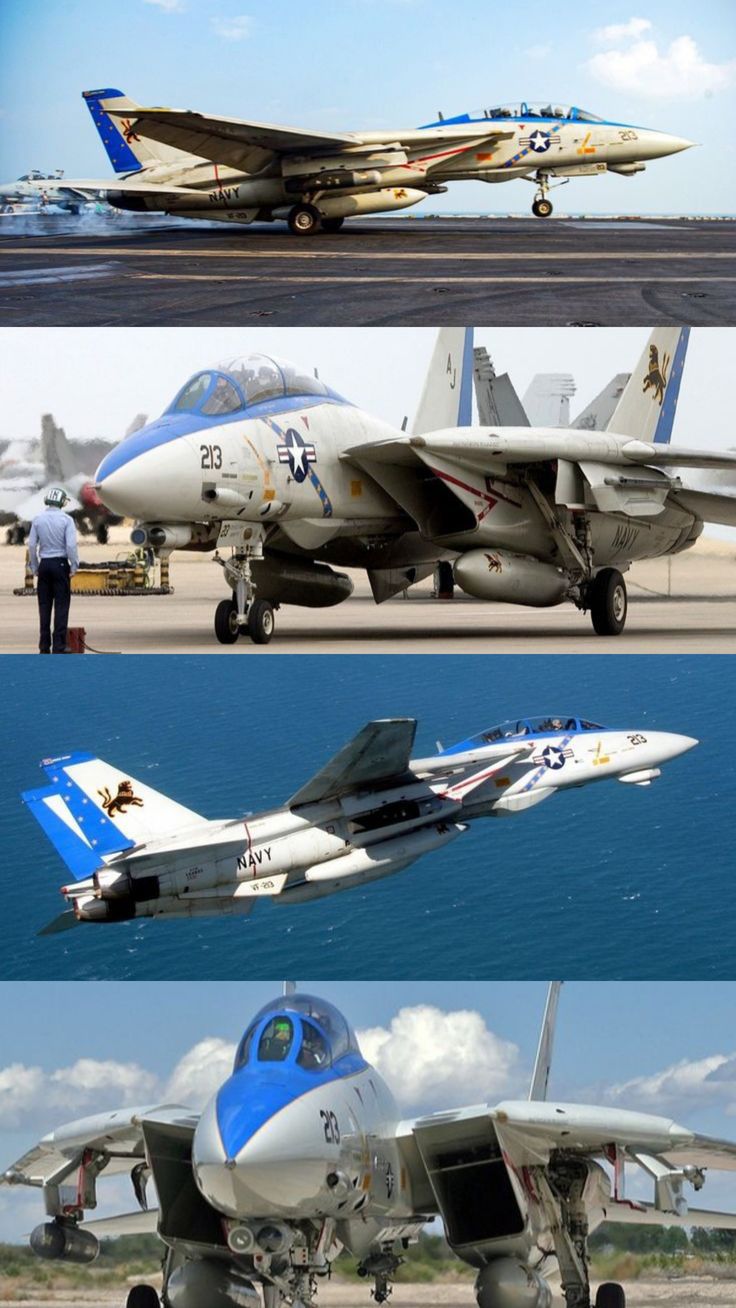Grumman F-14 Tomcat VF-213 Black Lions