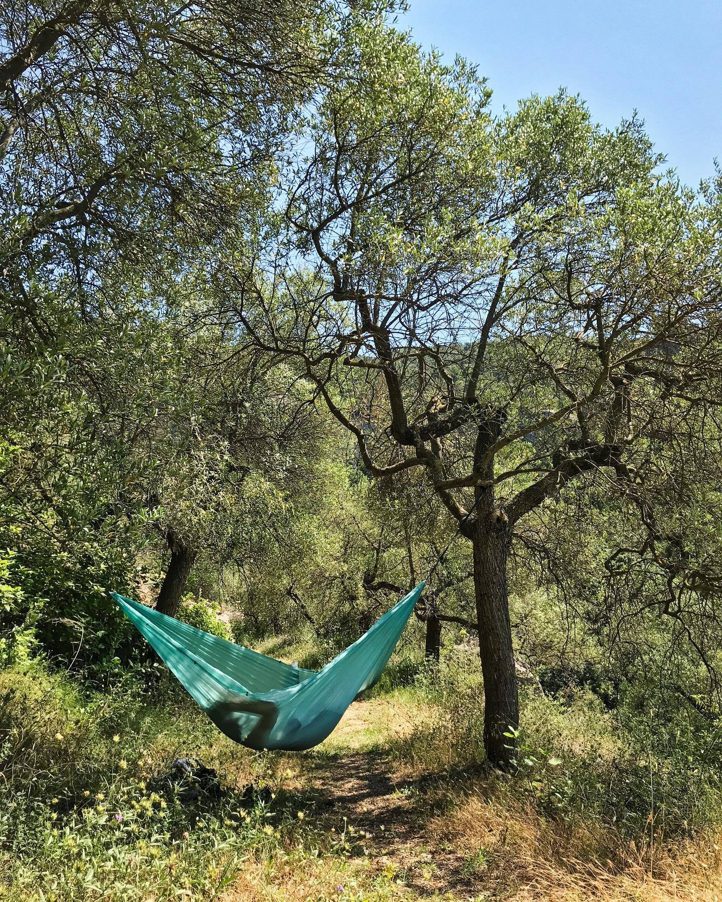 zeltstangen biegsam Alvinlite 2er Set, 7mm Fiberglasstangen Biegsam, 340cm Zeltstange aus 7 Segmente für Tarp, 2 Personen Zelte, Sonnensegel, Zelt Zubehör für Reisende Abenteurer Camping Ausrüstung Sport & Freizeit Wintersport Goggles Stitching:Red Rennrad / Fahrrad /