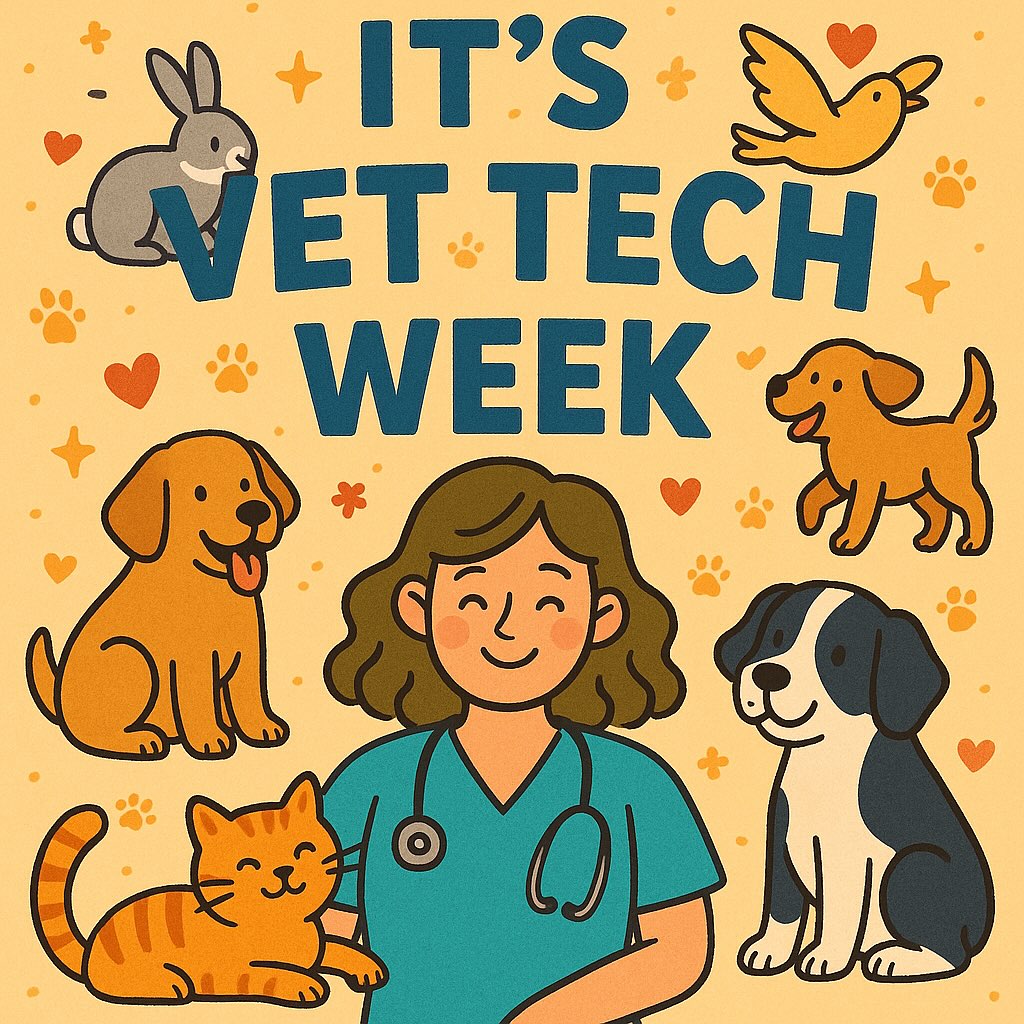 Happy Vet Tech Week! ... - Happy Pets Animal Hospital | Facebook