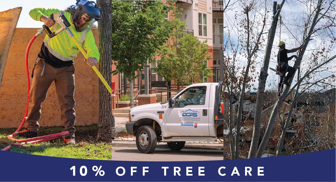 DCPS - Did you know winter is the best time to prune your trees and ...