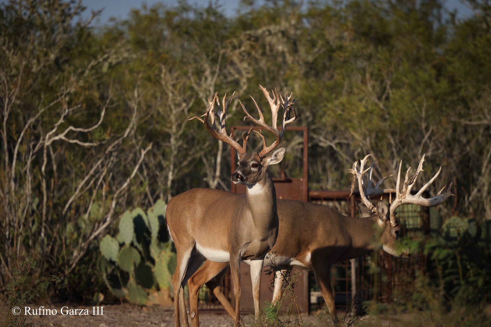San Jose Ranch