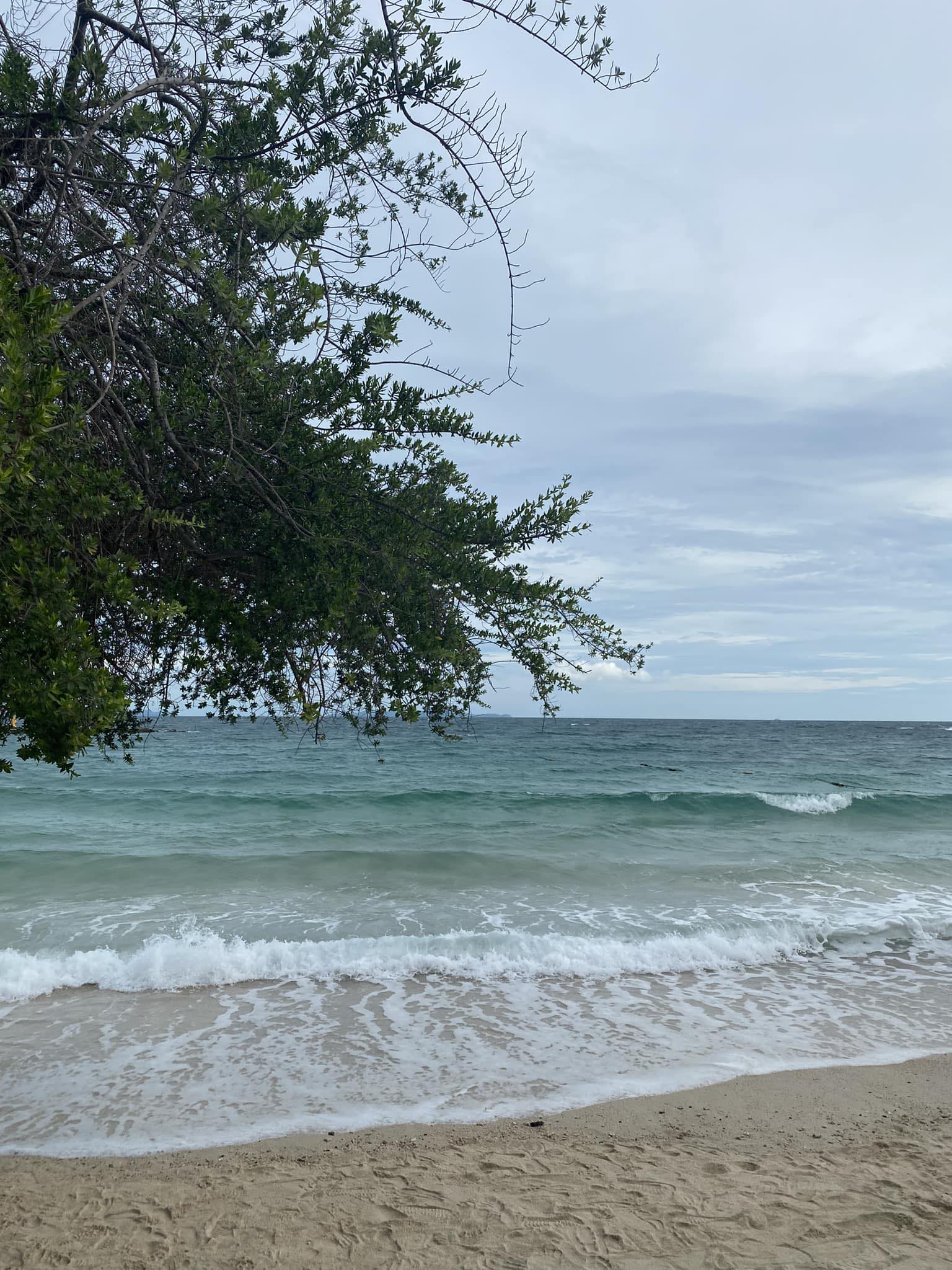 Panulak Wongprasert