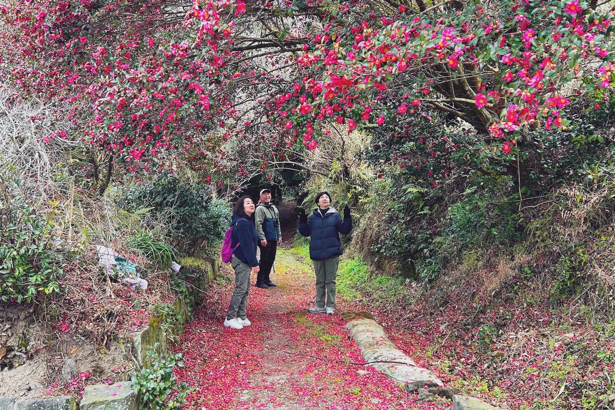 山鹿をさるく - 山鹿をさるく added a new photo.