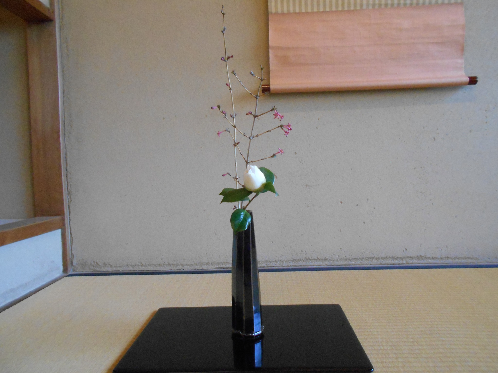 令和8年3月10日（火） 本日の立礼席 裏千家 掛軸 花咲爺 枯れ木にも