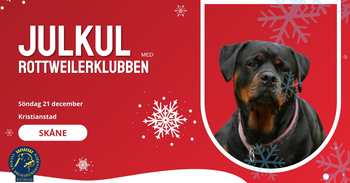 Julkul för hela familjen – en rottweilerträff med tomtetema!