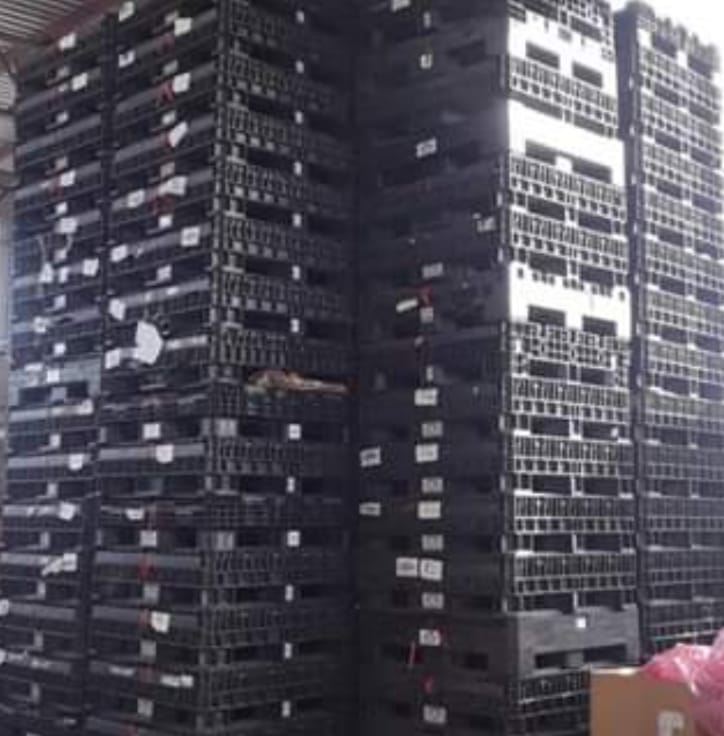 Contenedores Colapsables Ropak | Querétaro