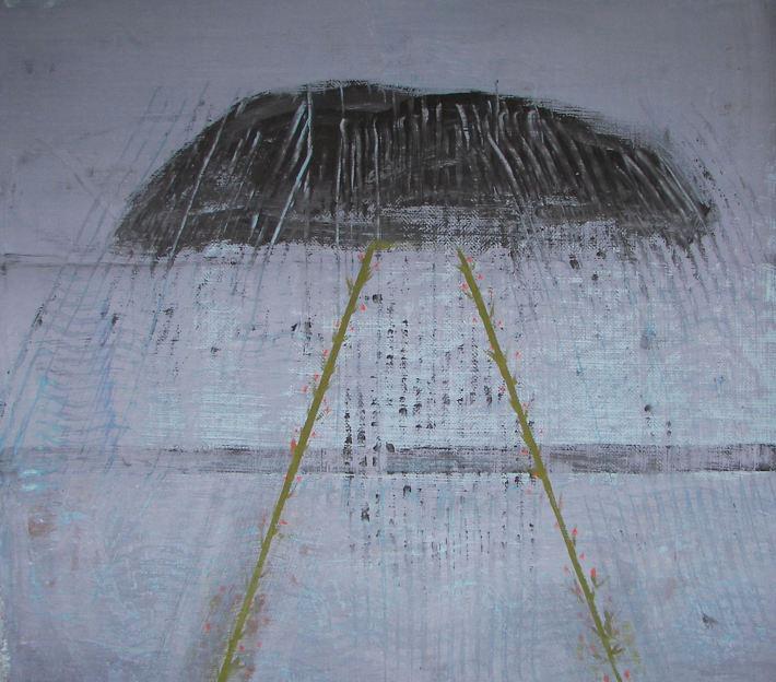The Artist Torild Rødland