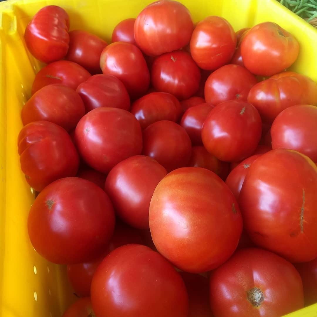 Crooked Row Farm added a new photo. - Crooked Row Farm