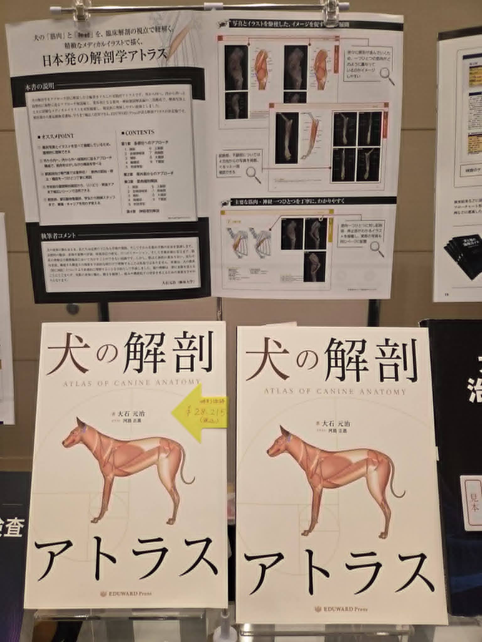 5月15日発刊！『UP DATE！犬アトピー性皮膚炎 2025年版』 日々進化する