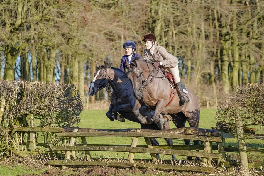 AM Equestrian and K9 Services | Wakefield