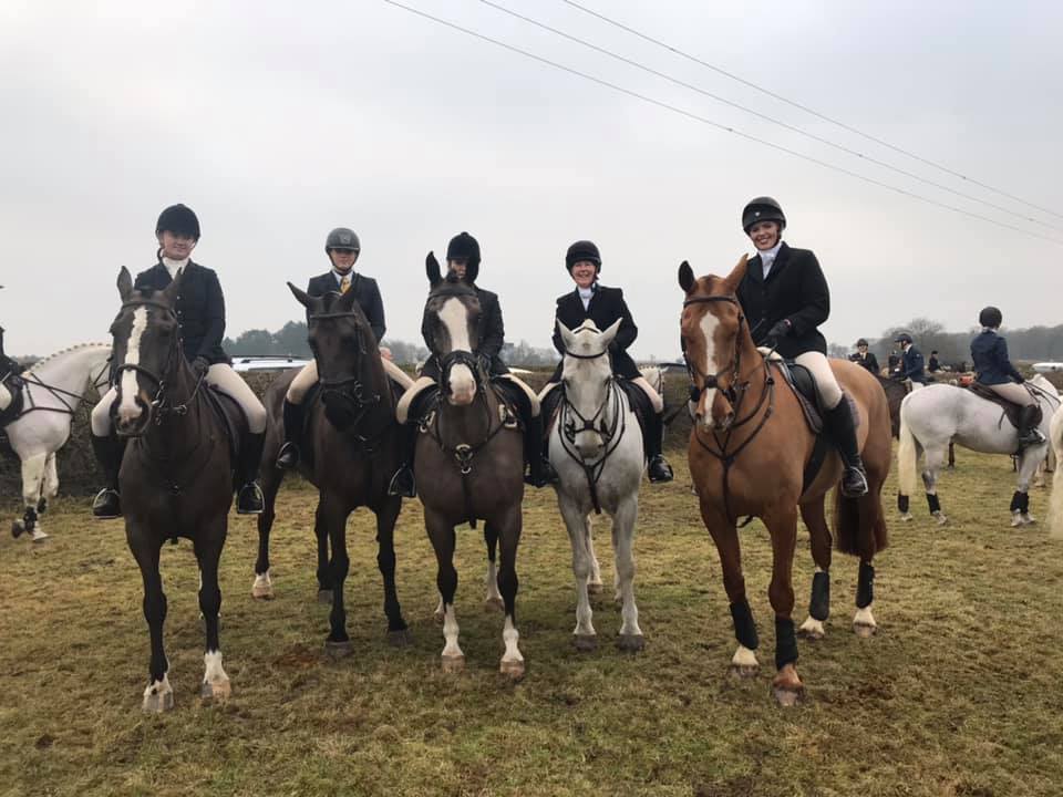 AM Equestrian and K9 Services | Wakefield