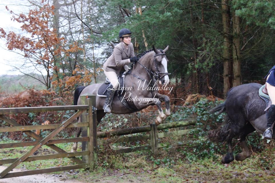 AM Equestrian and K9 Services | Wakefield