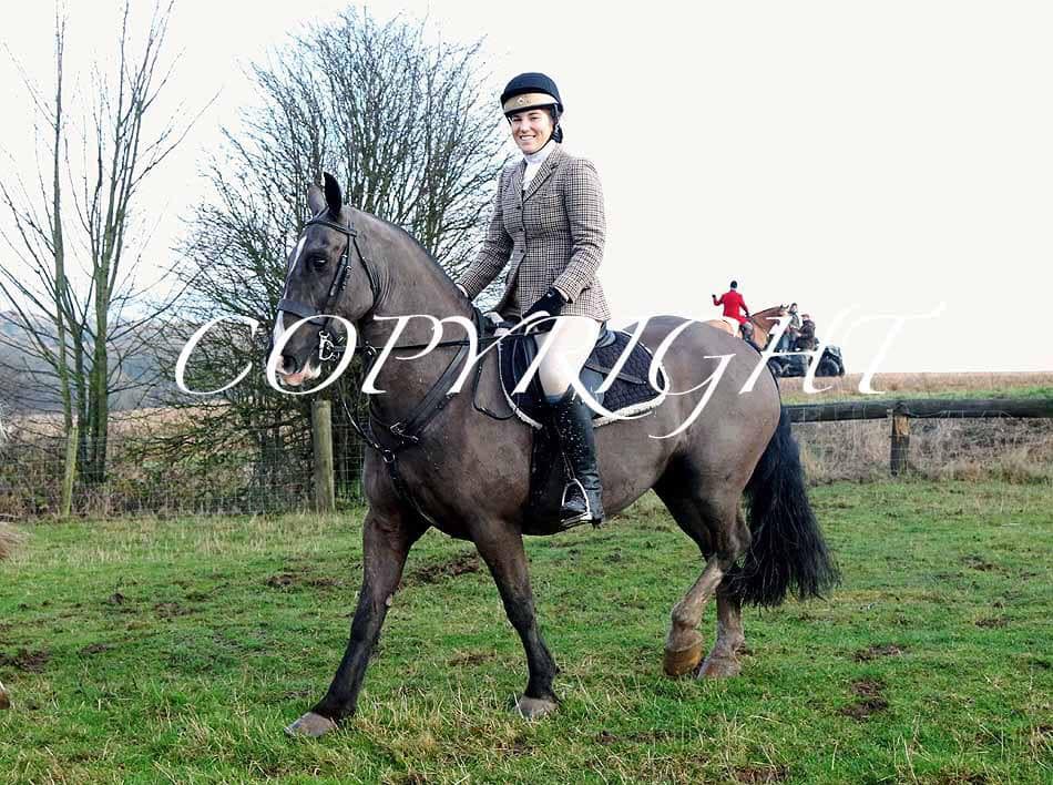 AM Equestrian and K9 Services | Wakefield