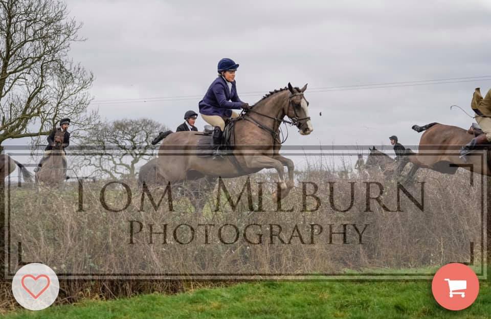 AM Equestrian and K9 Services | Wakefield