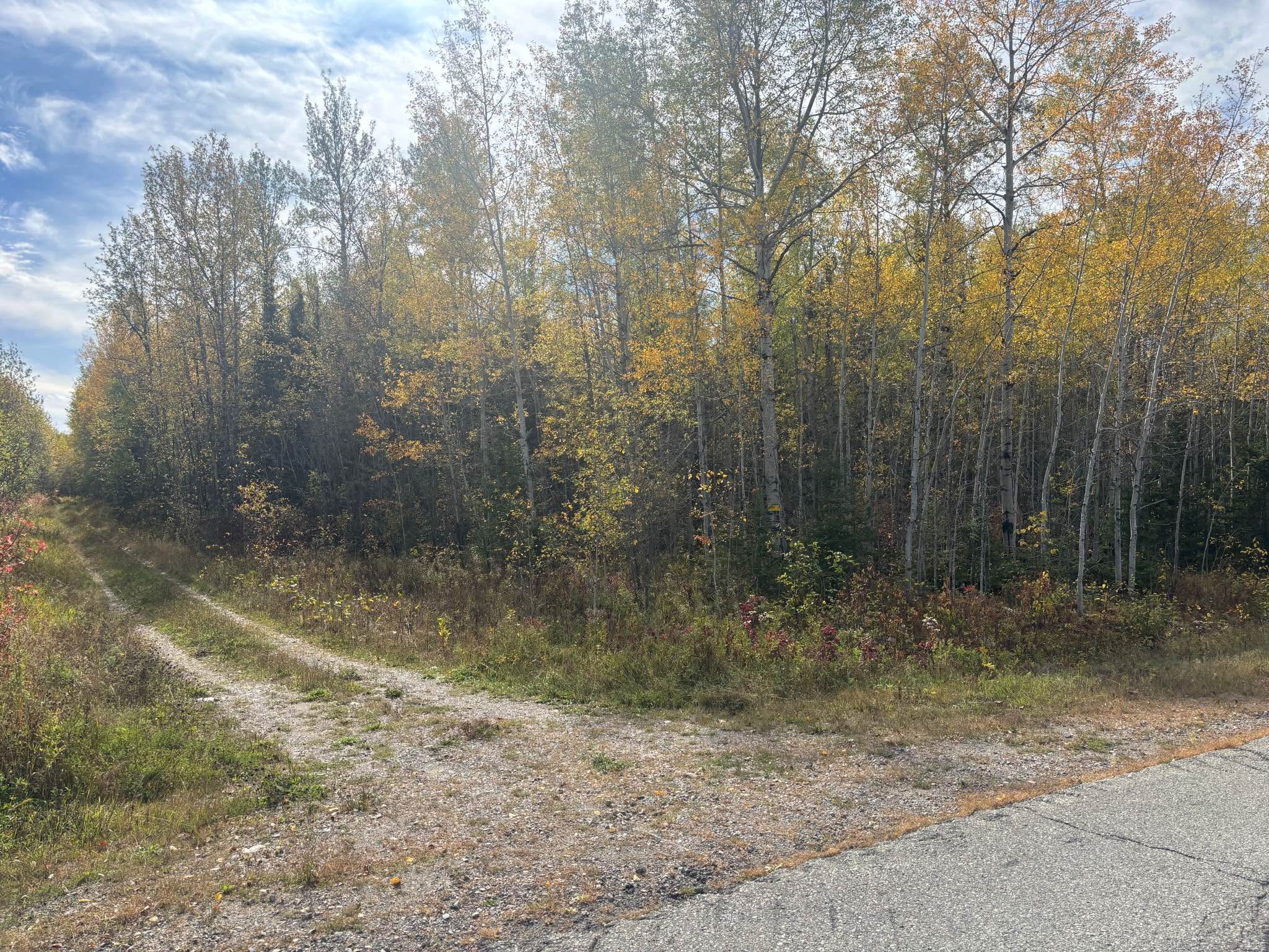 Terrain Boise A Vendre Pas Cher