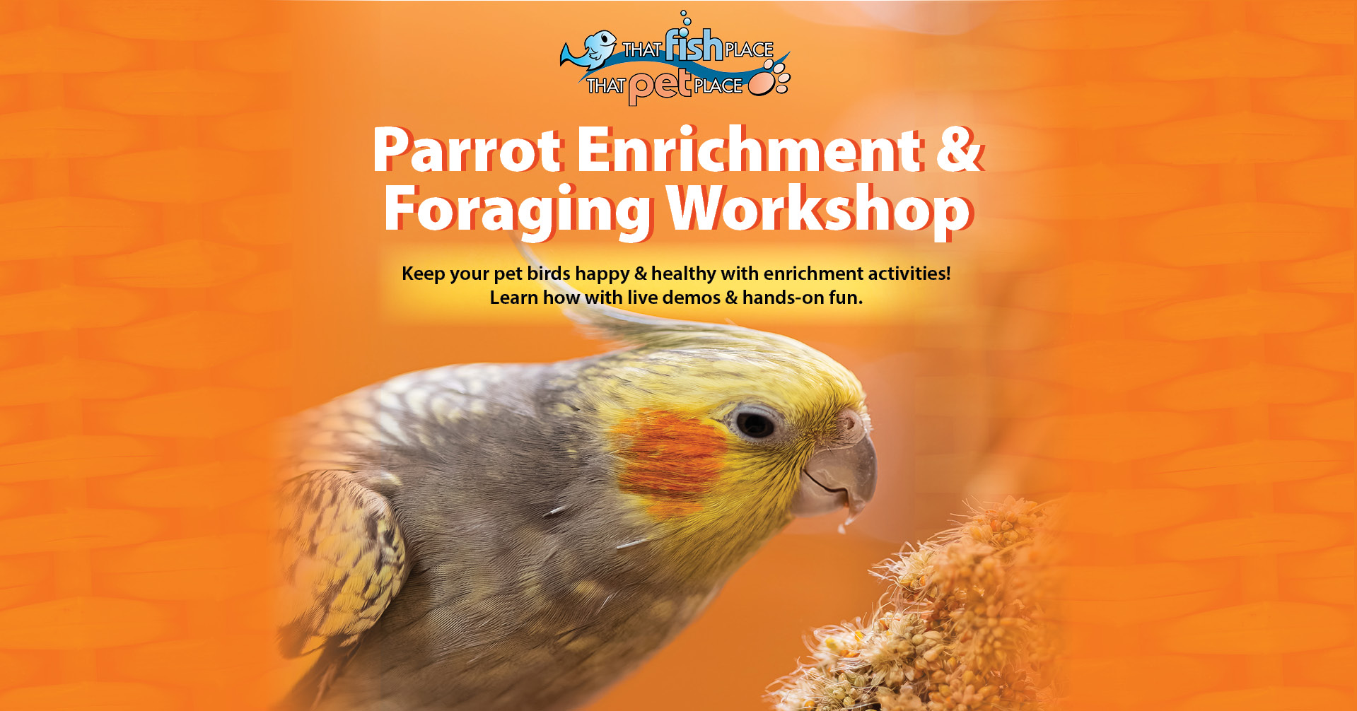 Parrot Enrichment & Foraging Workshop