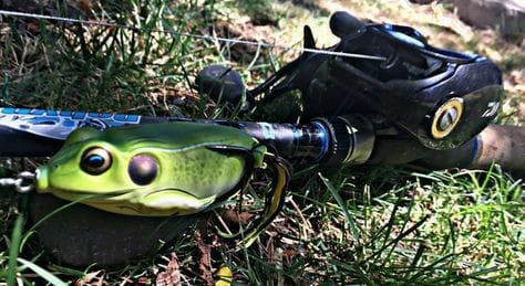 best reels for frog fishing Lure Whats yalls frog rod and