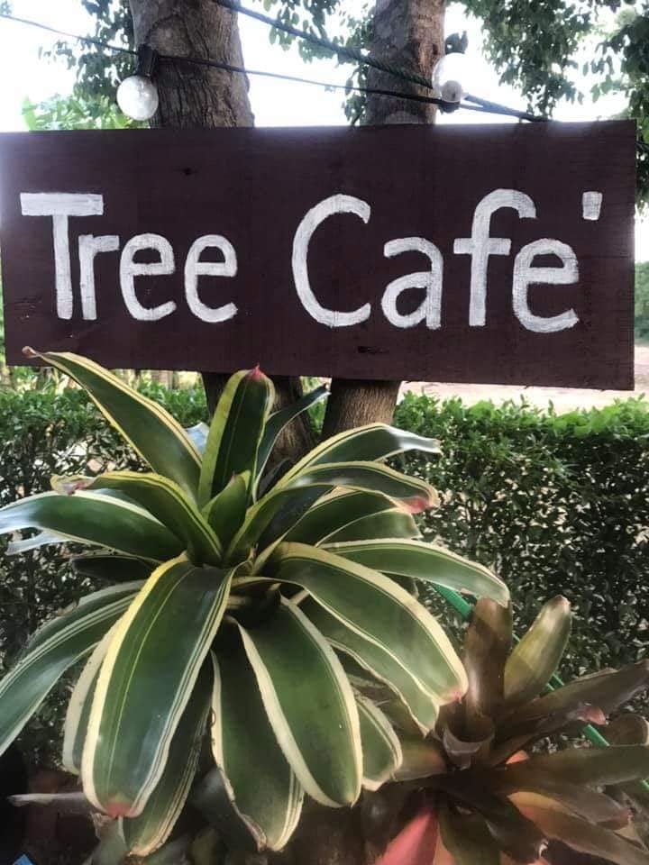 หิวแล้ว!!!!! นึกถึง Tree Cafe'... - Tree Cafe' at Tha Thong | Facebook