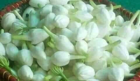 Poet Qadir faqeer rind official