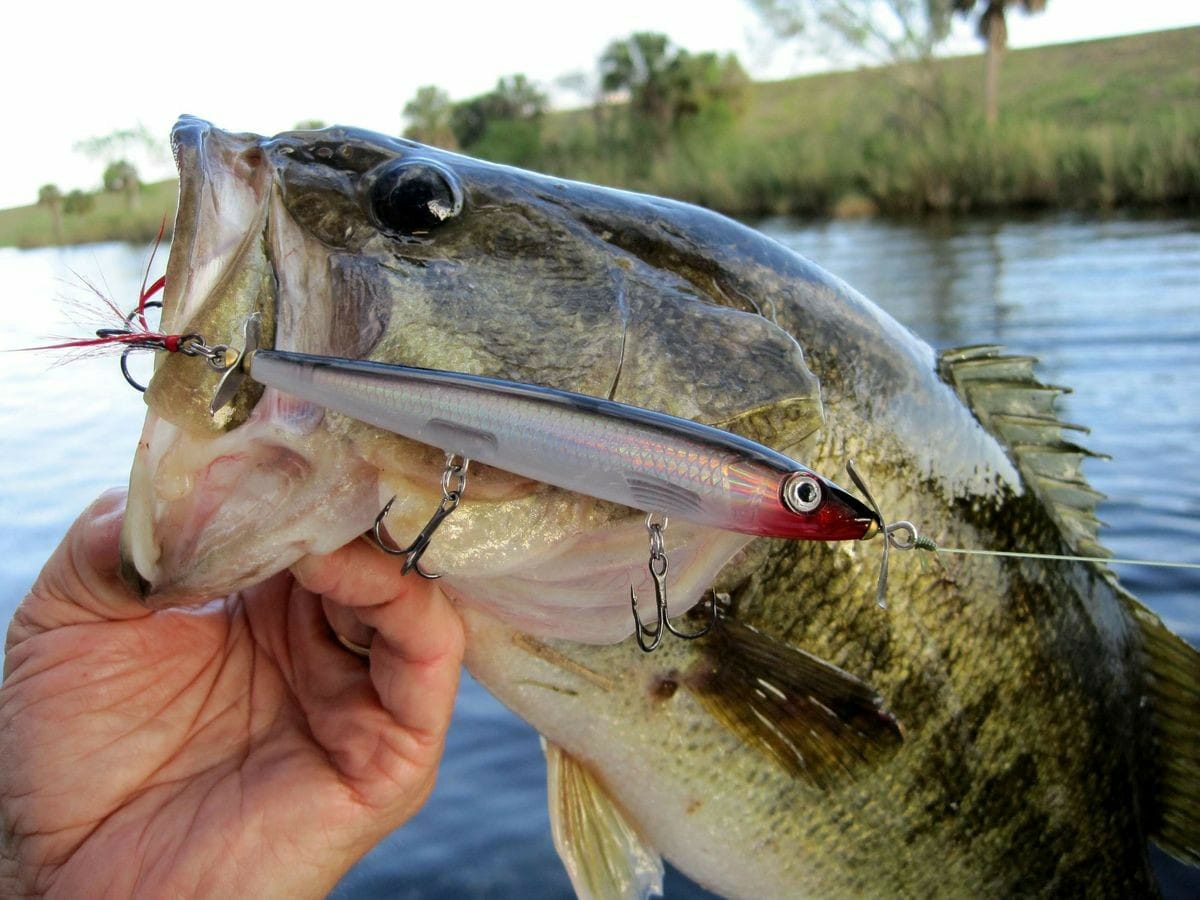 academy fly reel Integrity Reels Style:7'1