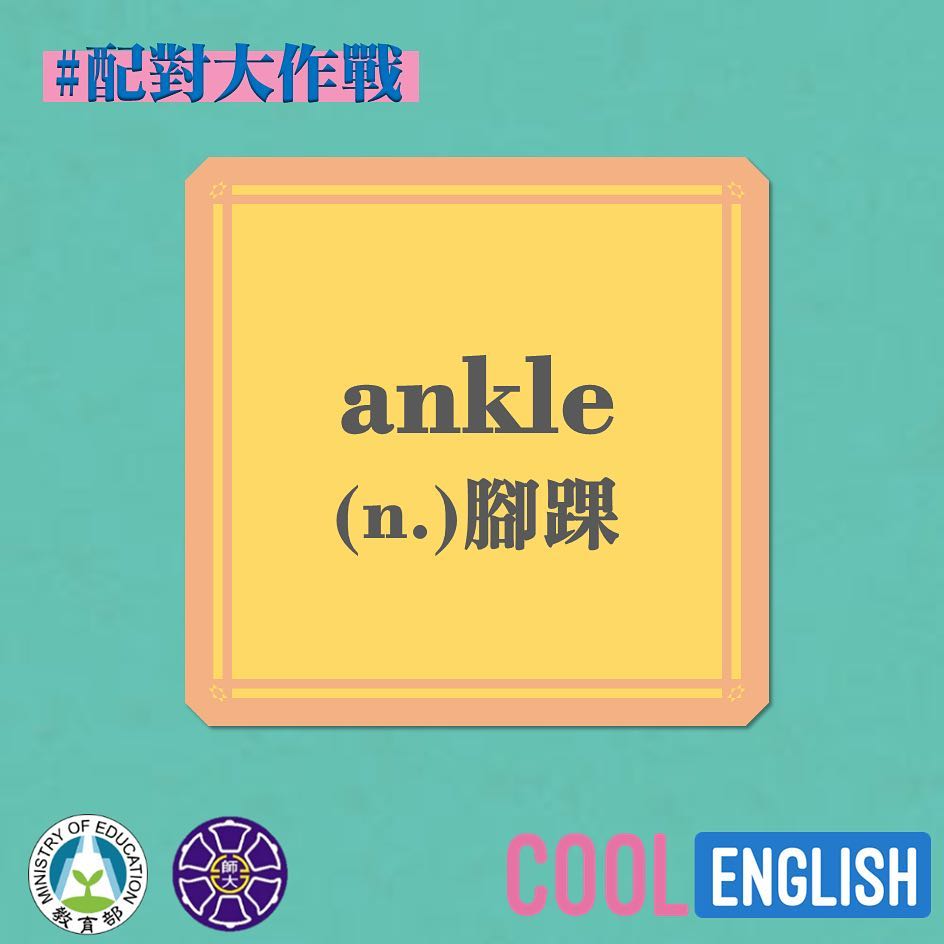 Cool English - - 接續前天介紹的單字ankle，讓我們繼續看看它有什麼其他的搭配詞吧!
