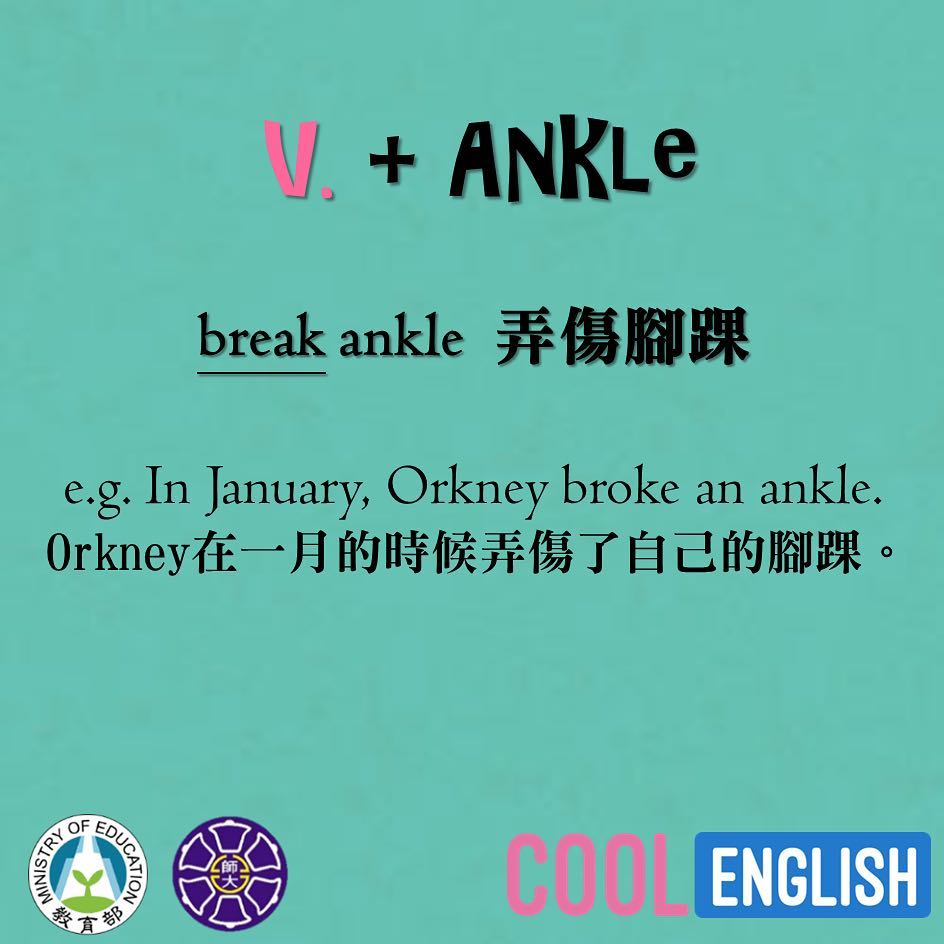 Cool English - - 接續前天介紹的單字ankle，讓我們繼續看看它有什麼其他的搭配詞吧!