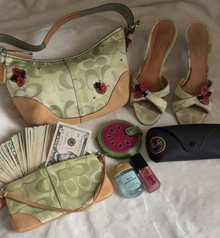 Coach Ladybug Green Optic Bag 2005 超レア品 Coach Ladybug Green Optic Bag 2005 Rare