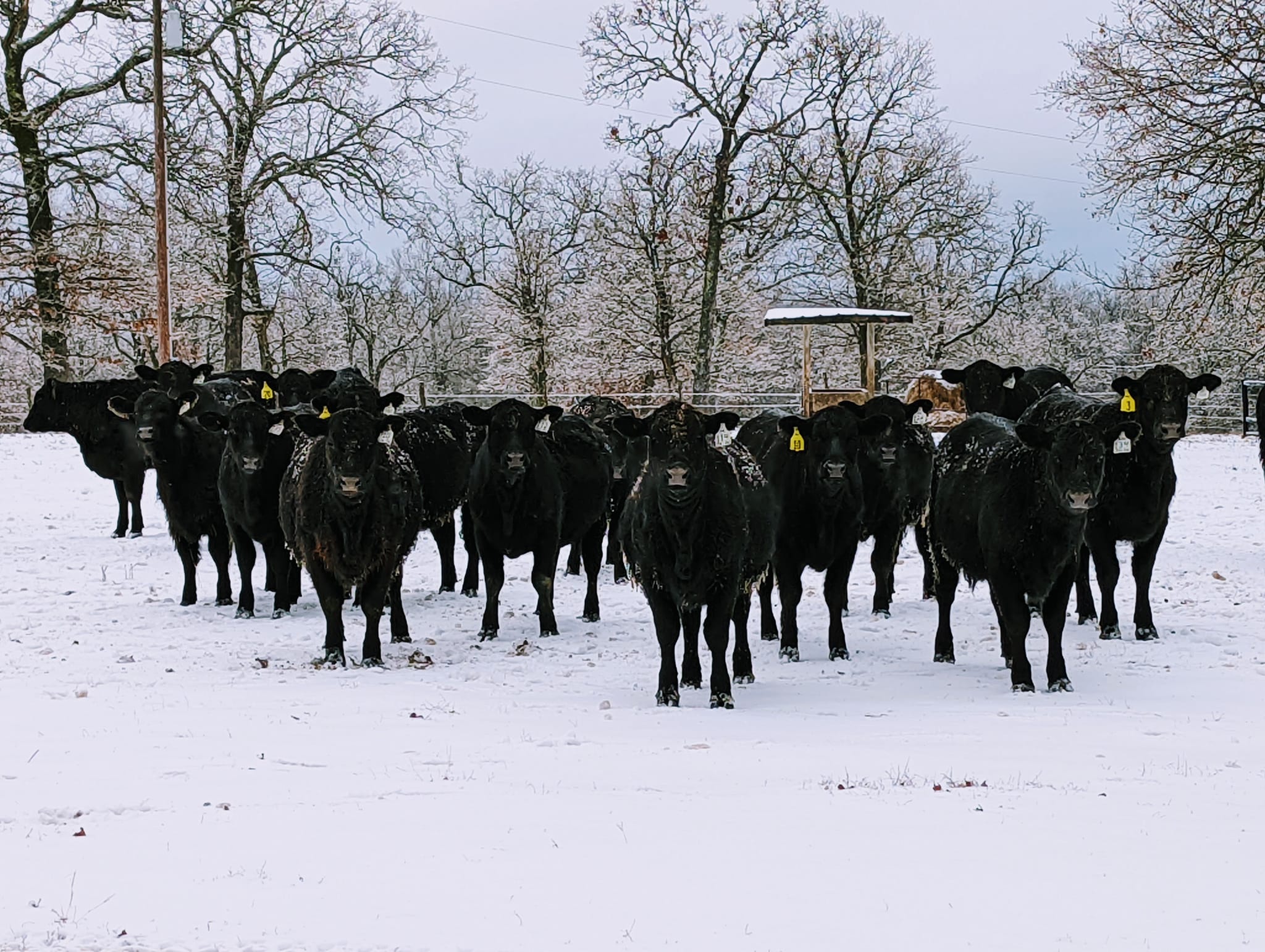 Wann Ranch