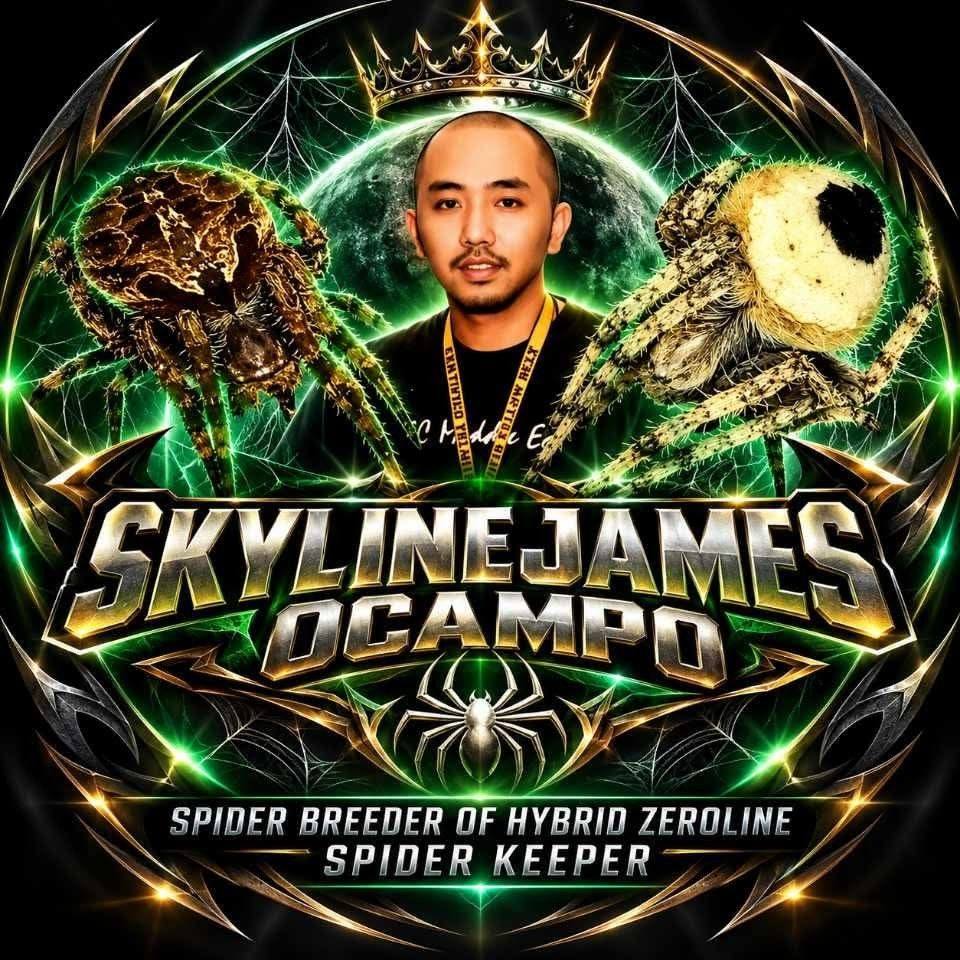 Tangkal palang extended na #spider #gagamba #viralreels #zeroline ...