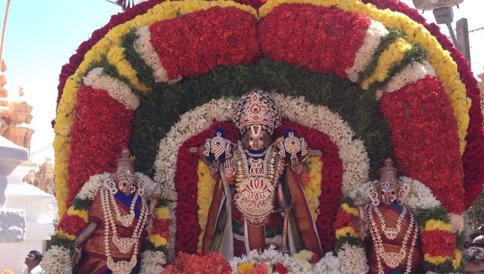 Seebi Narasimha Brahma Rathotsava