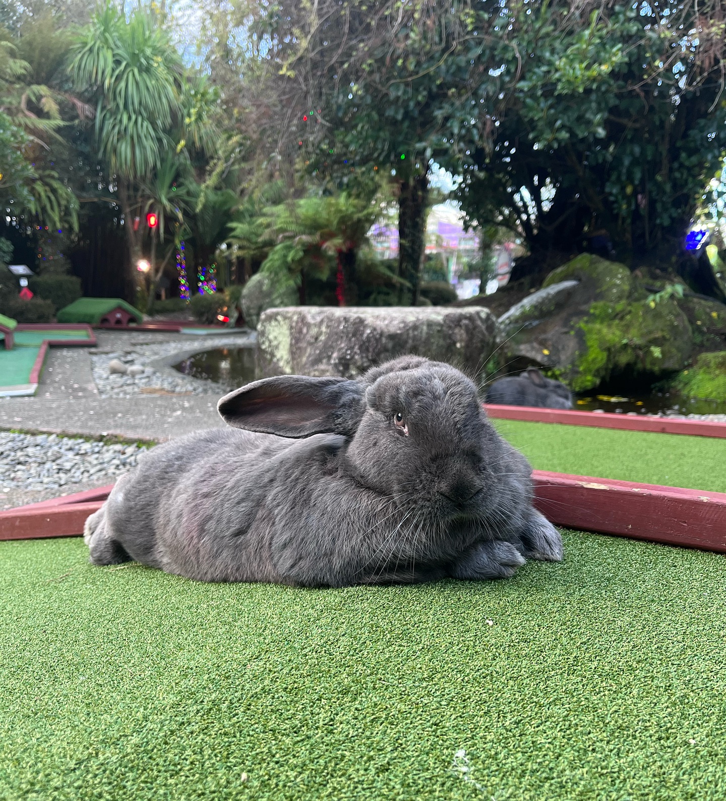 Mini Golf Rotorua | Rotorua