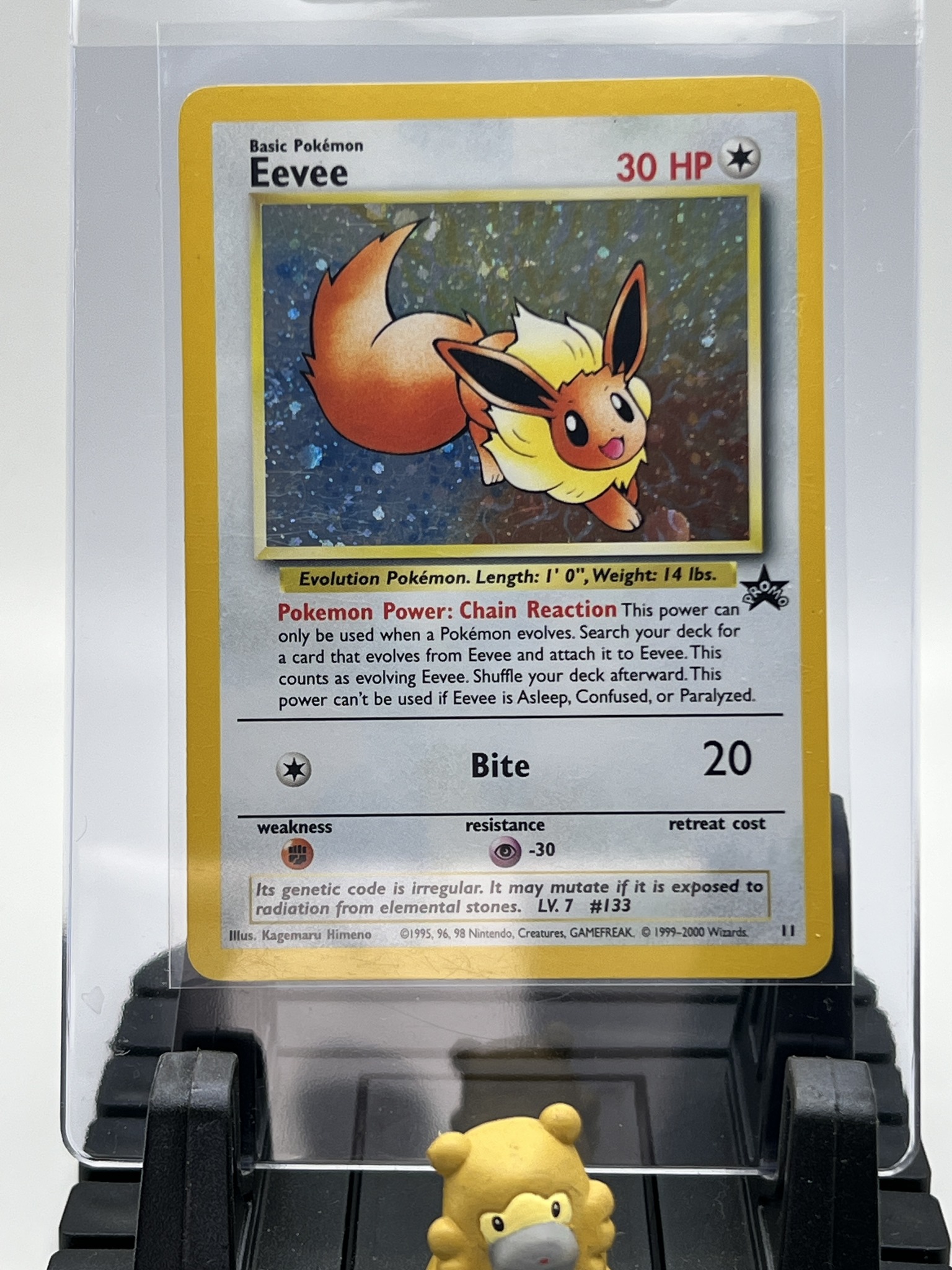 eevee pokemon card 1995 Team Rocket 1st Edition #55 PSA 8 #1 If heads 🤎 Eevee from Neo Discovery