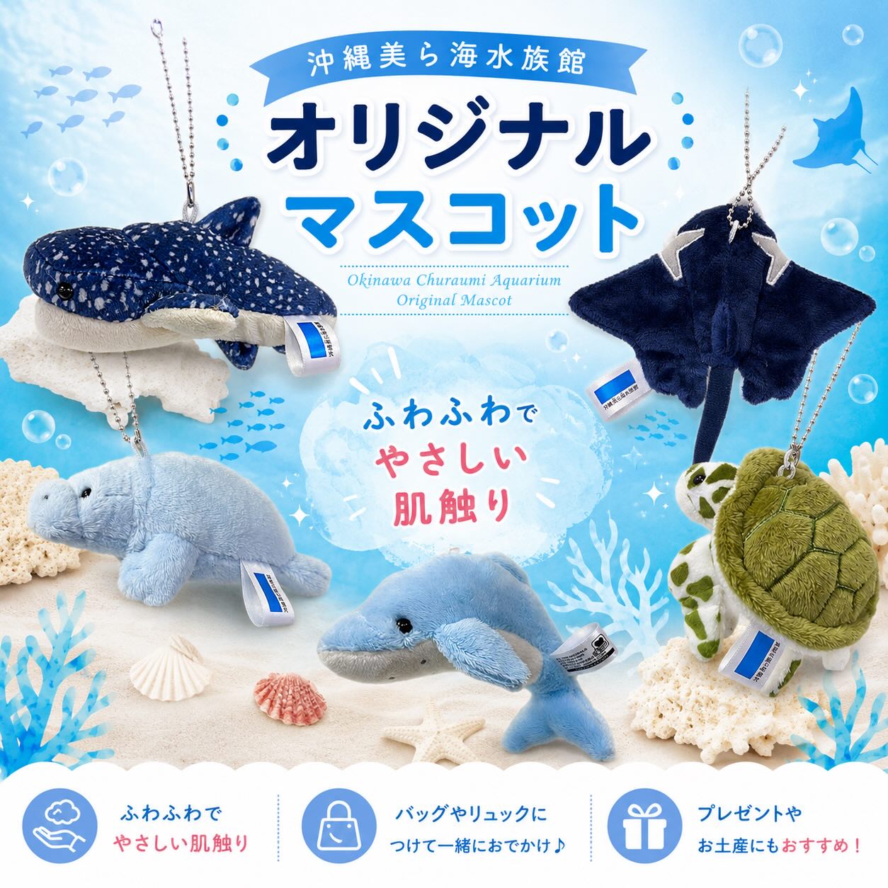 沖縄美ら海水族館アンテナショップうみちゅらら - 🐠💙 ふわふわの海の