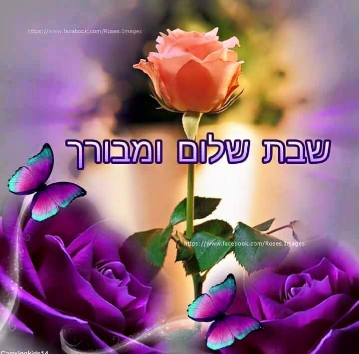 שבת שלום ומבורכת לכולם... - אלי לוזון הדף הרשמי