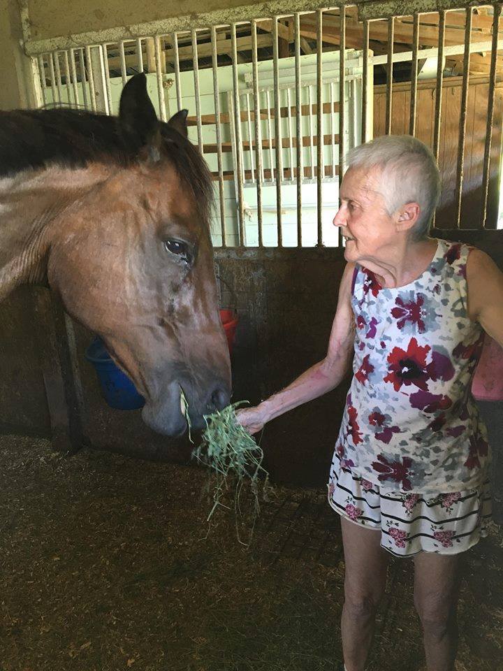 Race Horse Reclaim Thoroughbred Rescue | Columbia County FL