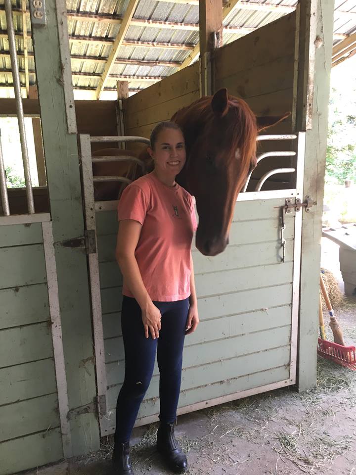 Race Horse Reclaim Thoroughbred Rescue | Columbia County FL