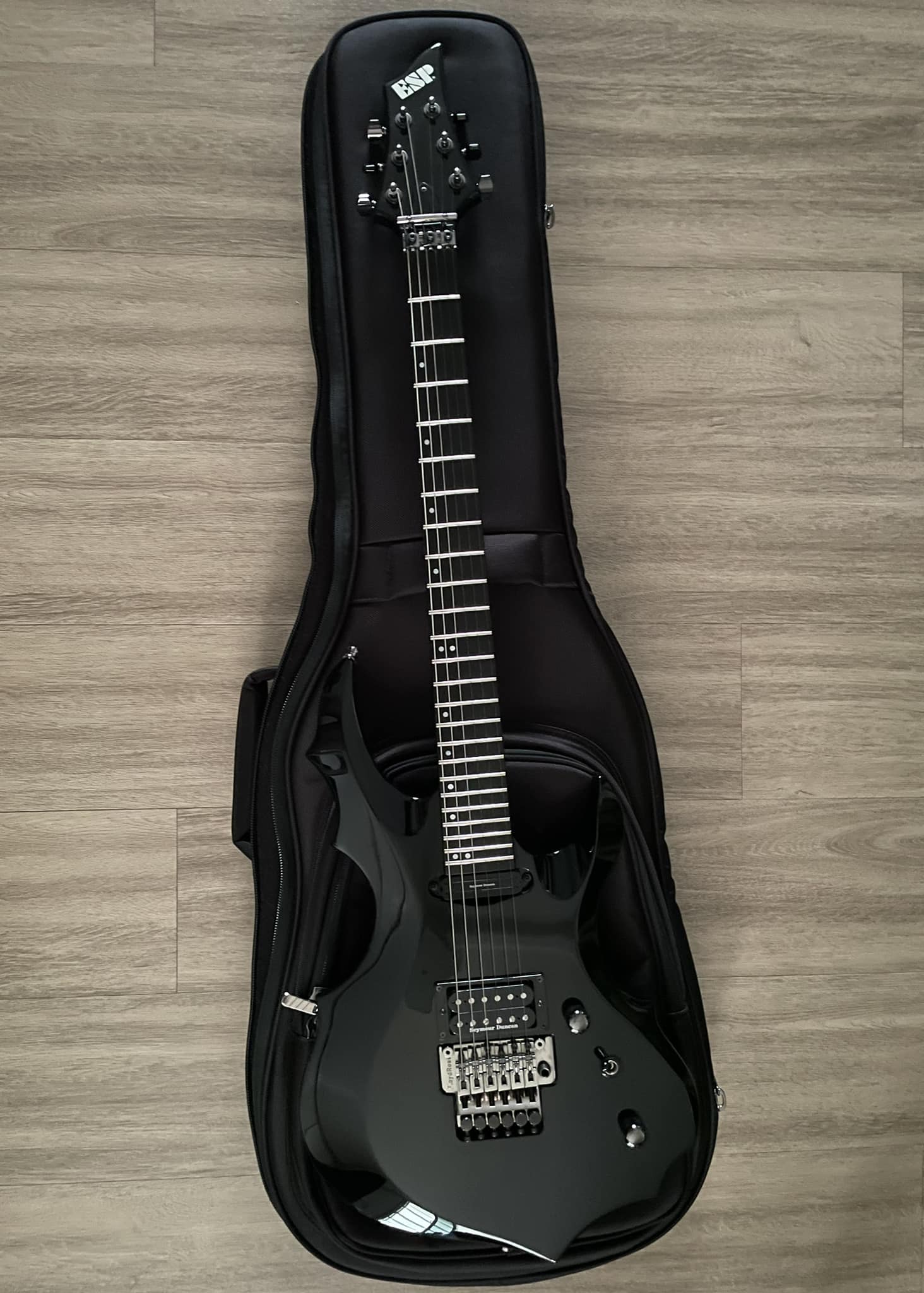 ESP forest guitar series discontinued