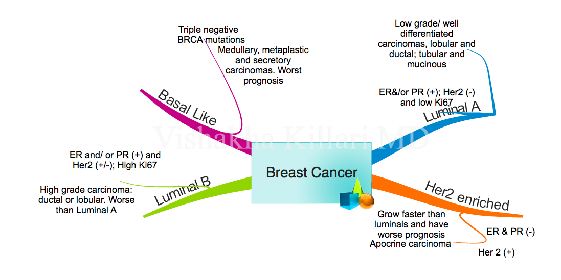 PathFiles - Molecular subtypes of breast cancer: There are... | Facebook